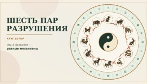 Подробнее о статье Шесть пар Разрушения: что происходит внутри ветвей